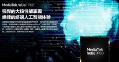 经收集模子写入智能机中